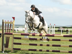 RDS 148 6&7 year old Qualifier 2007 Irish Connemara Pony
